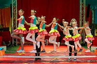 Bild: Fabelhaftes Zirkusevent in Klettenberg