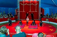 Bild: Fabelhaftes Zirkusevent in Klettenberg