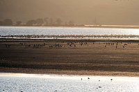 Bild: Neuer Aussichtsturm am Stausee Kelbra