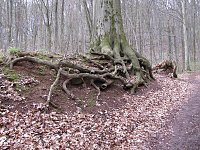 Unterwegs im Südharz Bild: Unterwegs im Südharz