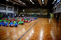 Bild: Zweifelderballturnier der Grundschulen