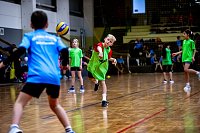 Bild: Zweifelderballturnier der Grundschulen