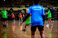 Bild: Zweifelderballturnier der Grundschulen