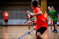 Bild: Zweifelderballturnier der Grundschulen