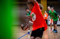 Bild: Zweifelderballturnier der Grundschulen
