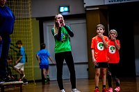 Bild: Zweifelderballturnier der Grundschulen