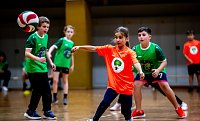 Bild: Zweifelderballturnier der Grundschulen