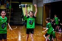 Bild: Zweifelderballturnier der Grundschulen