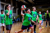 Bild: Zweifelderballturnier der Grundschulen