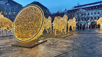 Bild: Peter Blei unterwegs in Magdeburg