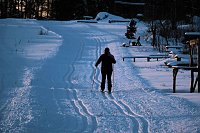 Bild: Wunderbare Winterlandschaft bei Benneckenstein