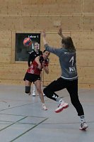 Bild: Handball-Regionsoberliga Frauen