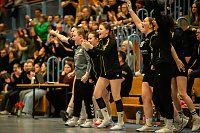 Bild: Handball am Wochenende