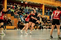 Bild: Handball am Wochenende