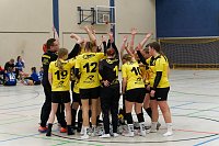 Bild: Handball am Wochenende