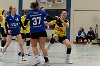 Bild: Handball am Wochenende