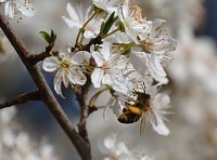 Bild: Peter Blei unterwegs im Fr&uuml;hling