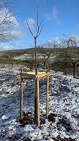 Bild: Naturprojekt wird beendet