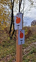 Bild: Naturprojekt wird beendet
