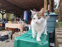Bild: So sch&ouml;n soll es wieder werden - Impressionen vom ersten Dorfflohmarkt in Rodishain