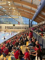 Bild: Europ&auml;ischer Spitzenhandball in der Wiedigsburghalle