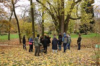 Bild: Artistik zwischen Baum und Borke - im Park Hohenrode lud man zu einem k&uuml;nsterlischen Waldspaziergang