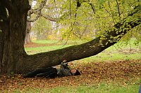 Bild: Artistik zwischen Baum und Borke - im Park Hohenrode lud man zu einem k&uuml;nsterlischen Waldspaziergang