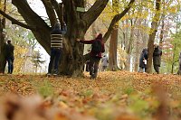 Bild: Artistik zwischen Baum und Borke - im Park Hohenrode lud man zu einem k&uuml;nsterlischen Waldspaziergang