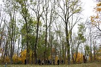 Bild: Artistik zwischen Baum und Borke - im Park Hohenrode lud man zu einem k&uuml;nsterlischen Waldspaziergang
