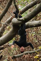 Bild: Artistik zwischen Baum und Borke - im Park Hohenrode lud man zu einem k&uuml;nsterlischen Waldspaziergang