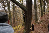 Bild: Artistik zwischen Baum und Borke - im Park Hohenrode lud man zu einem k&uuml;nsterlischen Waldspaziergang