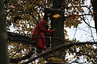 Bild: Artistik zwischen Baum und Borke - im Park Hohenrode lud man zu einem k&uuml;nsterlischen Waldspaziergang