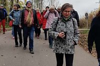 Bild: Benefizwanderung am Geiseltalsee