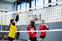 Bild: Hochklassiges Kreisfinale im Volleyball 