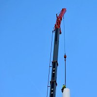 Der Hexenbesen wächst und wächst und... Bild: Der Hexenbesen wächst und wächst und...