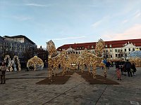 Bild: Peter in Magdeburg