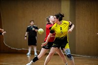 Bild: Die Nordh&auml;user Handballer zeigten sich am Wochenende b&auml;renstark