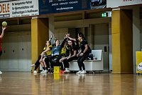 Bild: Die Nordh&auml;user Handballer zeigten sich am Wochenende b&auml;renstark