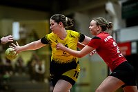 Bild: Die Nordh&auml;user Handballer zeigten sich am Wochenende b&auml;renstark