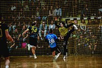 Bild: Die Nordh&auml;user Handballer zeigten sich am Wochenende b&auml;renstark