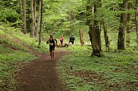 Bild: 11. Harztorlauf - Am Start und auf der Strecke