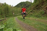 Bild: 11. Harztorlauf - Am Start und auf der Strecke