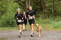 Bild: 11. Harztorlauf - Am Start und auf der Strecke