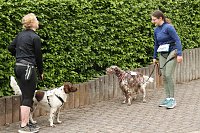 Bild: 11. Harztorlauf - Am Start und auf der Strecke