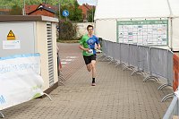 Bild: Auf der Zielgerade beim 11. Harztorlauf