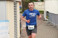 Bild: Auf der Zielgerade beim 11. Harztorlauf