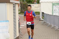 Bild: Auf der Zielgerade beim 11. Harztorlauf