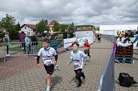 Bild: Auf der Zielgerade beim 11. Harztorlauf