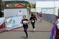 Bild: Auf der Zielgerade beim 11. Harztorlauf