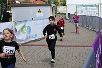 Bild: Auf der Zielgerade beim 11. Harztorlauf
